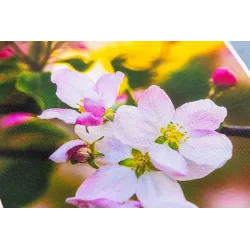 Seinapilt fotolõuendil 0531